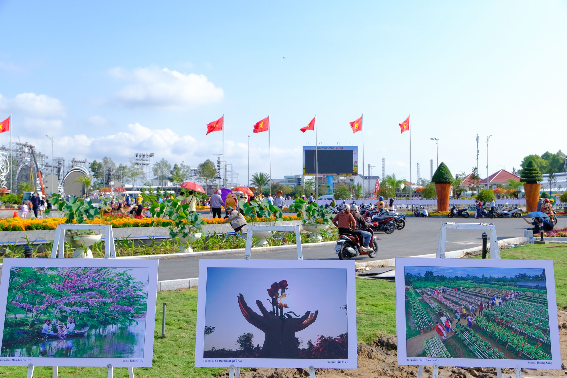 L&agrave;ng hoa Sa Đ&eacute;c tưng bừng sắc m&agrave;u - Ảnh 7.