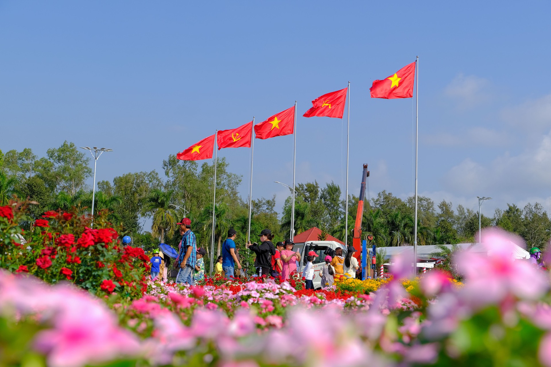 L&agrave;ng hoa Sa Đ&eacute;c tưng bừng sắc m&agrave;u - Ảnh 11.