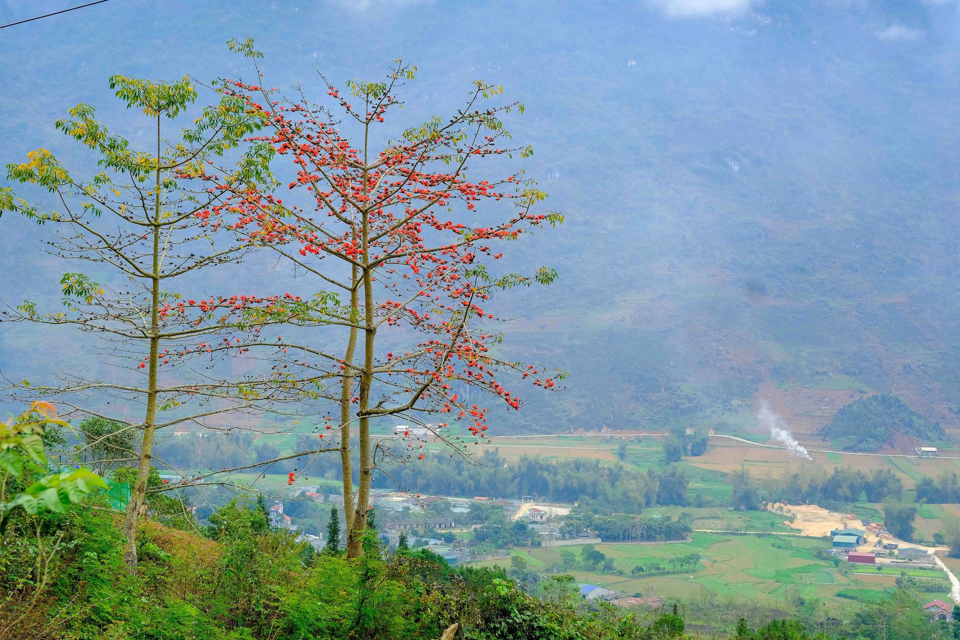 M&ecirc; mẩn ngắm hoa gạo rực đỏ n&uacute;i rừng H&agrave; Giang - Ảnh 3.