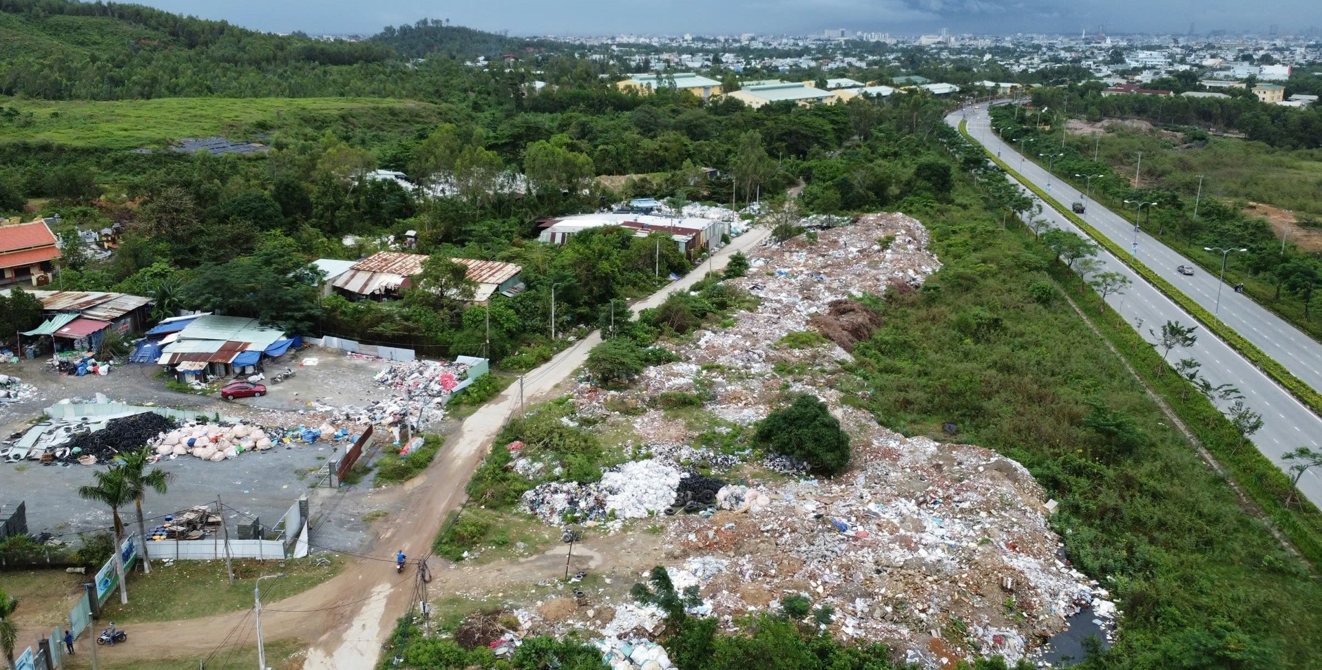 Đ&agrave; Nẵng: Khu đất trống do phường quản l&yacute; mọc l&ecirc;n b&atilde;i x&agrave; bần "khủng"- Ảnh 1.