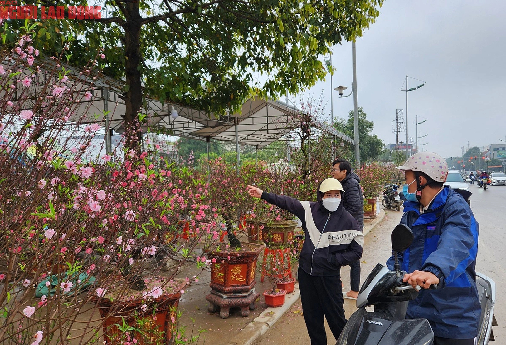 Tiểu thương đồng loạt "xả h&agrave;ng" đ&agrave;o, quất vẫn ế ẩm chiều 29 Tết- Ảnh 6.