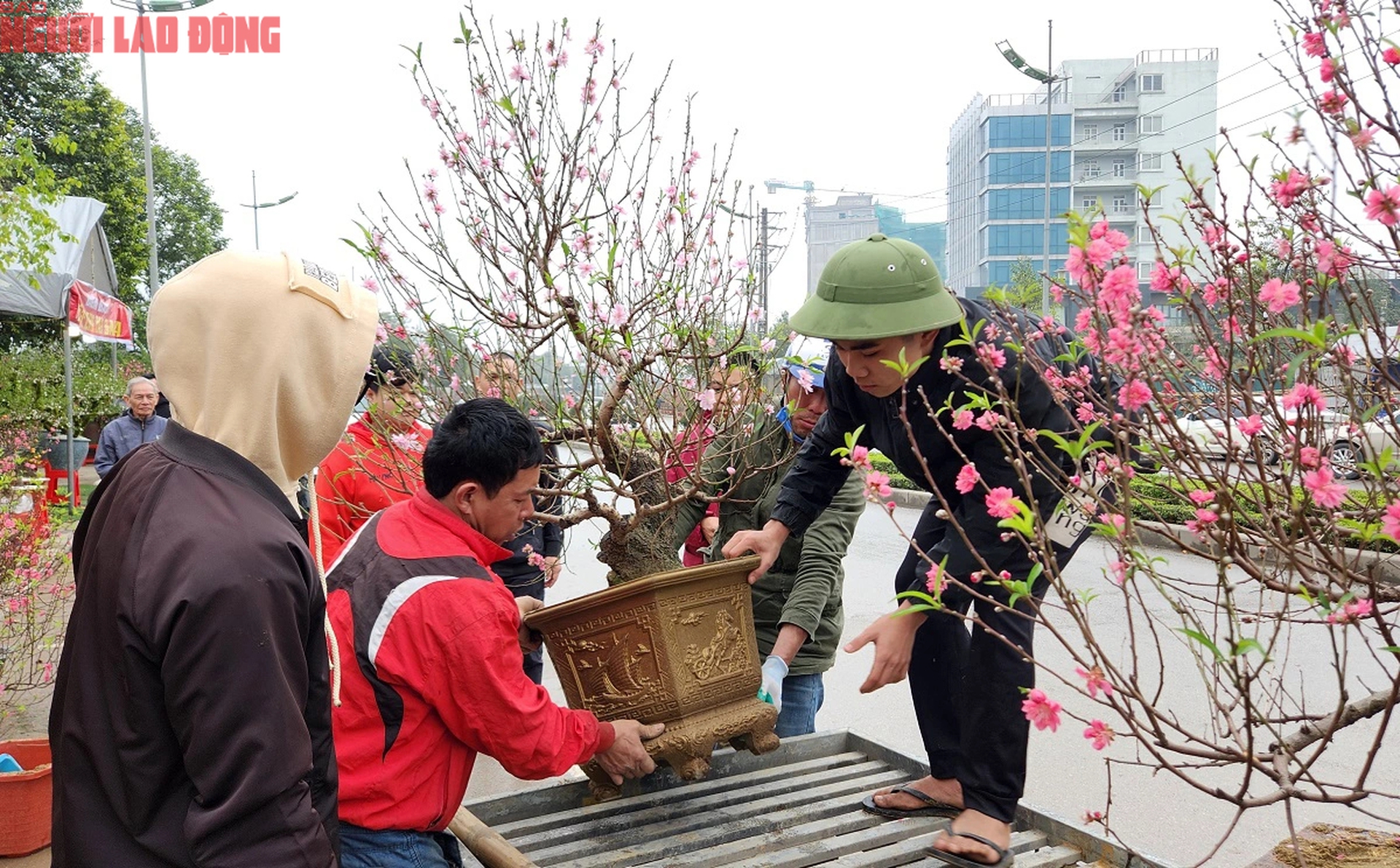 Tiểu thương đồng loạt "xả h&agrave;ng" đ&agrave;o, quất vẫn ế ẩm chiều 29 Tết- Ảnh 7.