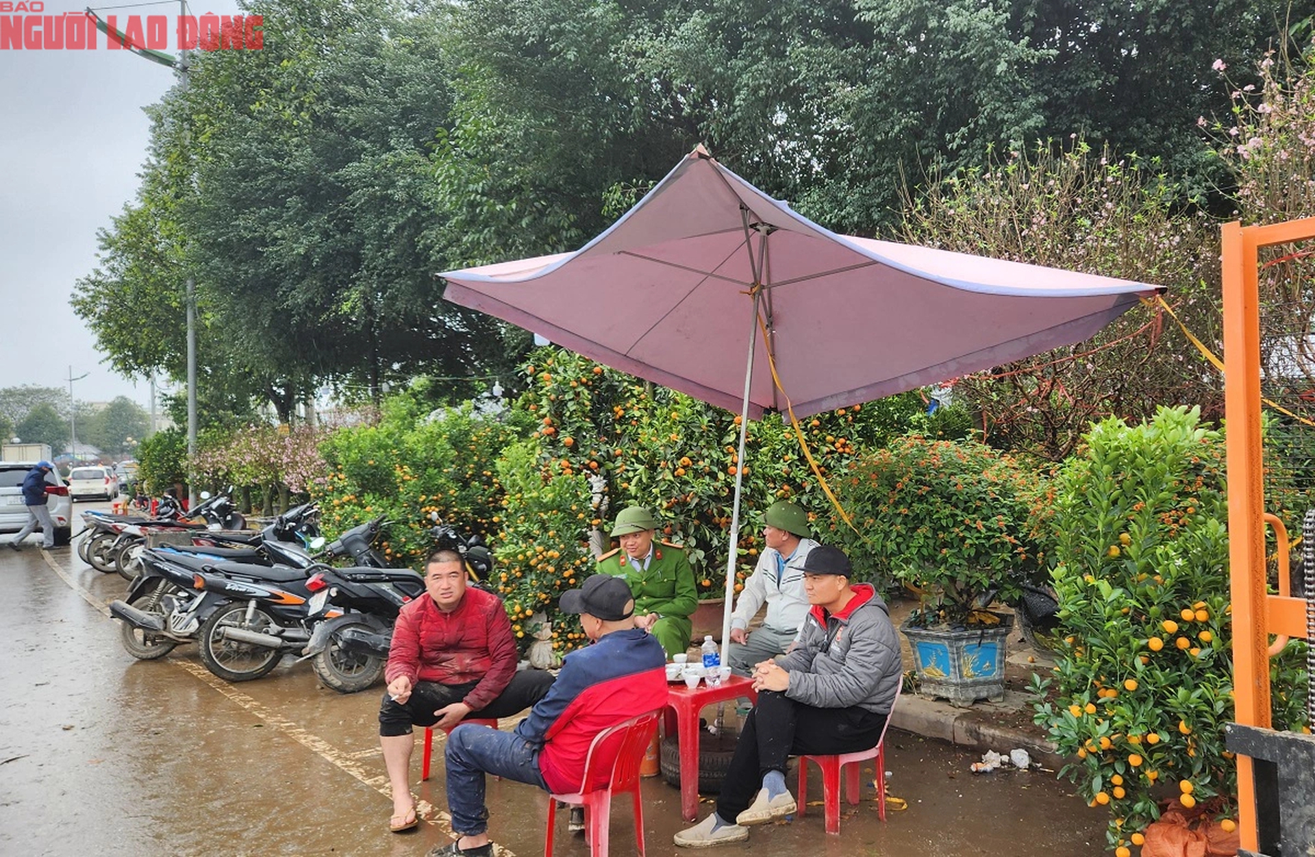 Tiểu thương đồng loạt "xả h&agrave;ng" đ&agrave;o, quất vẫn ế ẩm chiều 29 Tết- Ảnh 13.