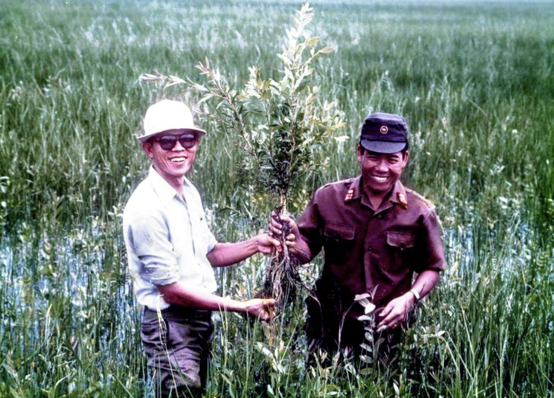 GS-TS V&otilde; T&ograve;ng Xu&acirc;n v&agrave; kh&aacute;t vọng bảo đảm an ninh lương thực to&agrave;n cầu- Ảnh 7.
