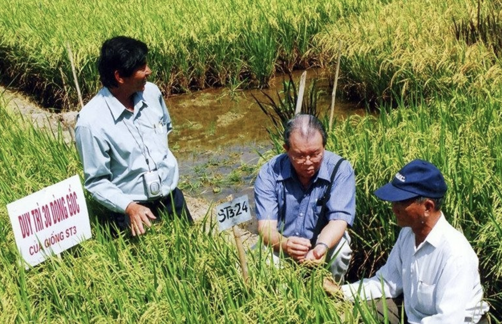 GS-TS V&otilde; T&ograve;ng Xu&acirc;n v&agrave; kh&aacute;t vọng bảo đảm an ninh lương thực to&agrave;n cầu- Ảnh 8.