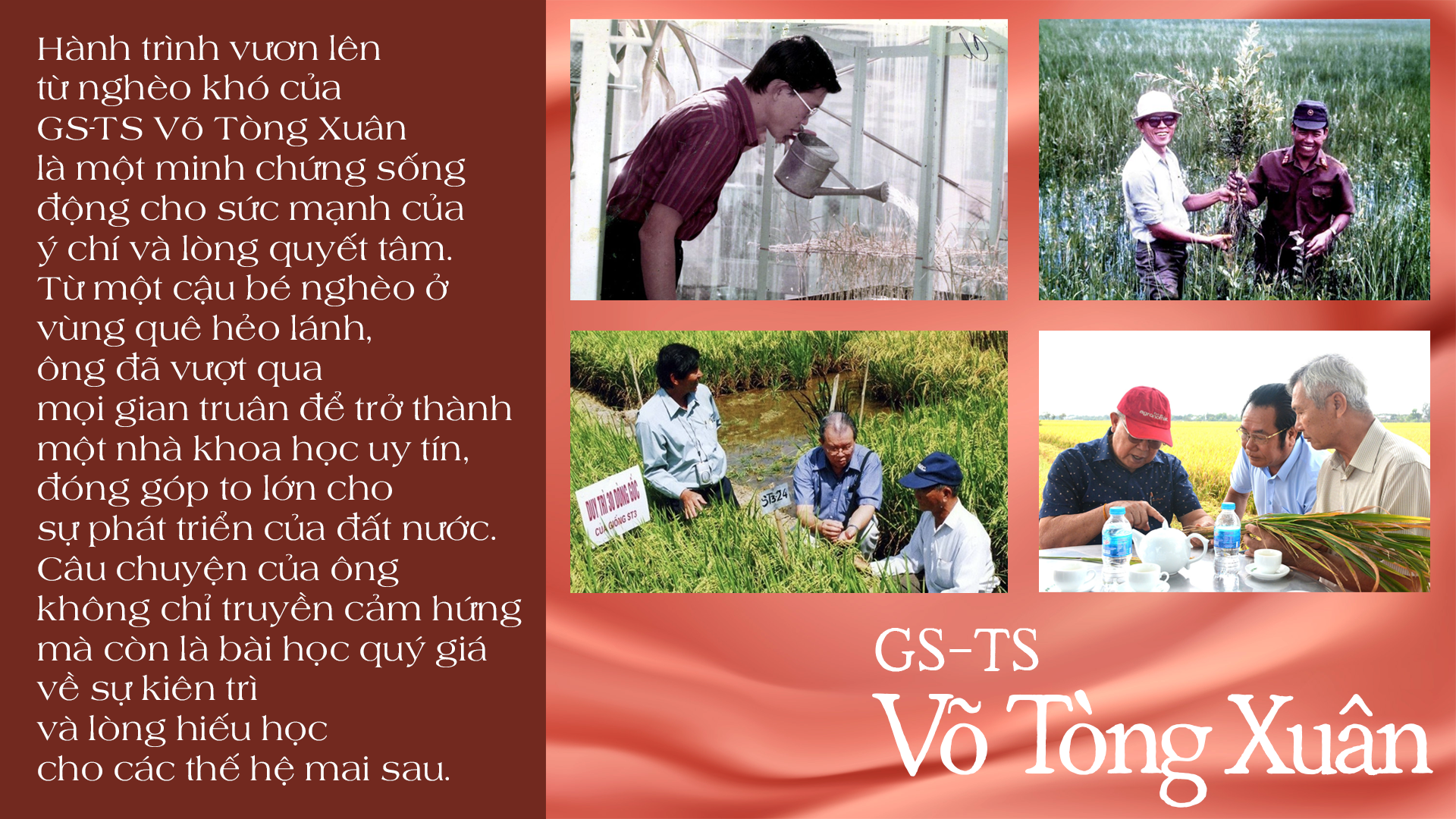 GS-TS V&otilde; T&ograve;ng Xu&acirc;n v&agrave; kh&aacute;t vọng bảo đảm an ninh lương thực to&agrave;n cầu- Ảnh 6.