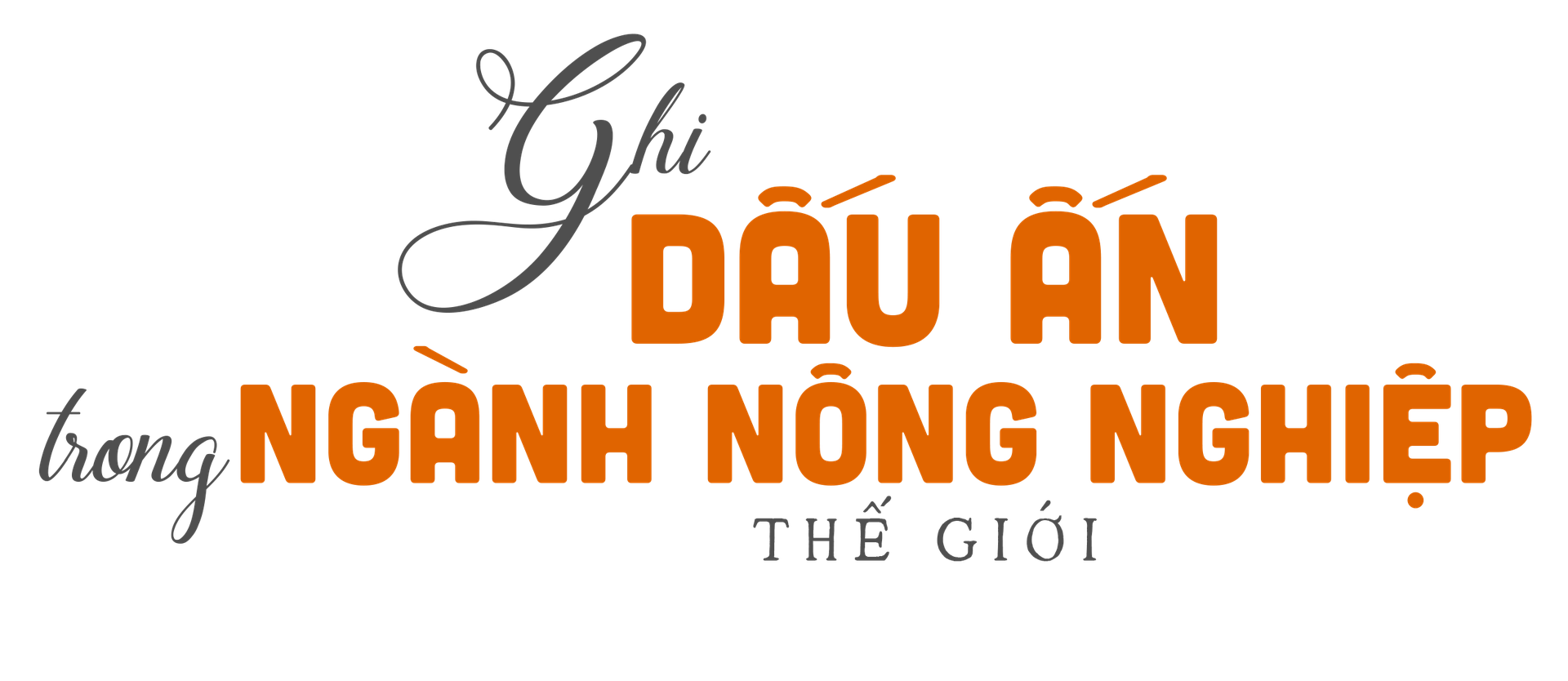 GS-TS V&otilde; T&ograve;ng Xu&acirc;n v&agrave; kh&aacute;t vọng bảo đảm an ninh lương thực to&agrave;n cầu- Ảnh 10.