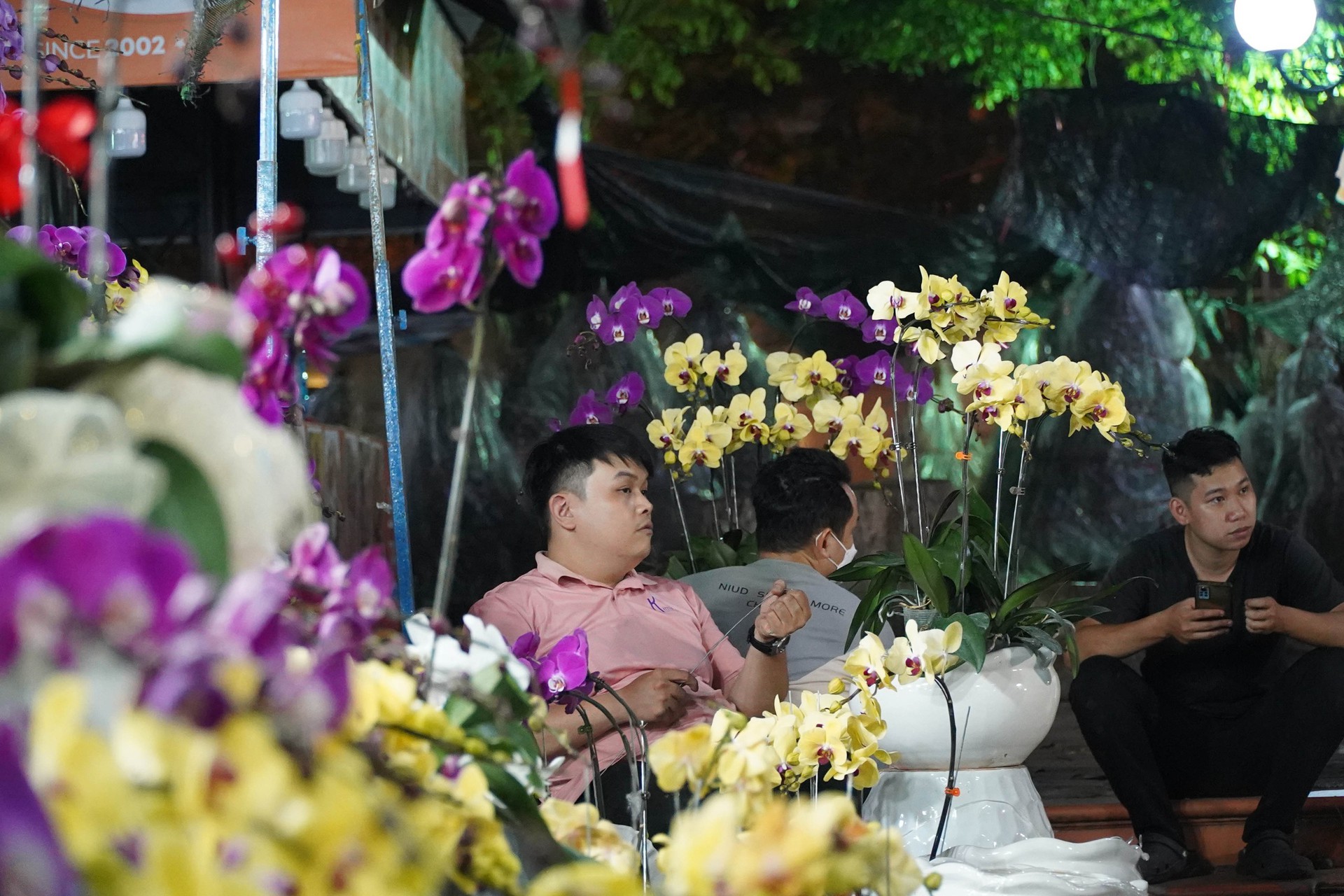 TP HCM: Dựng lều ngủ đ&ecirc;m ở chợ hoa - Ảnh 9.