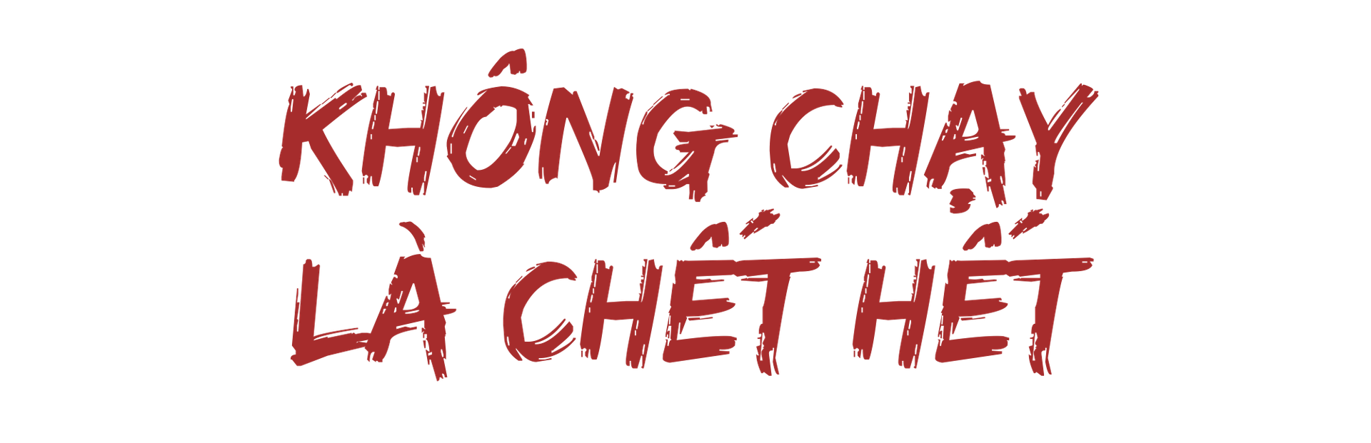 Kinh ho&agrave;ng si&ecirc;u b&atilde;o 40 năm trước - Ảnh 2.