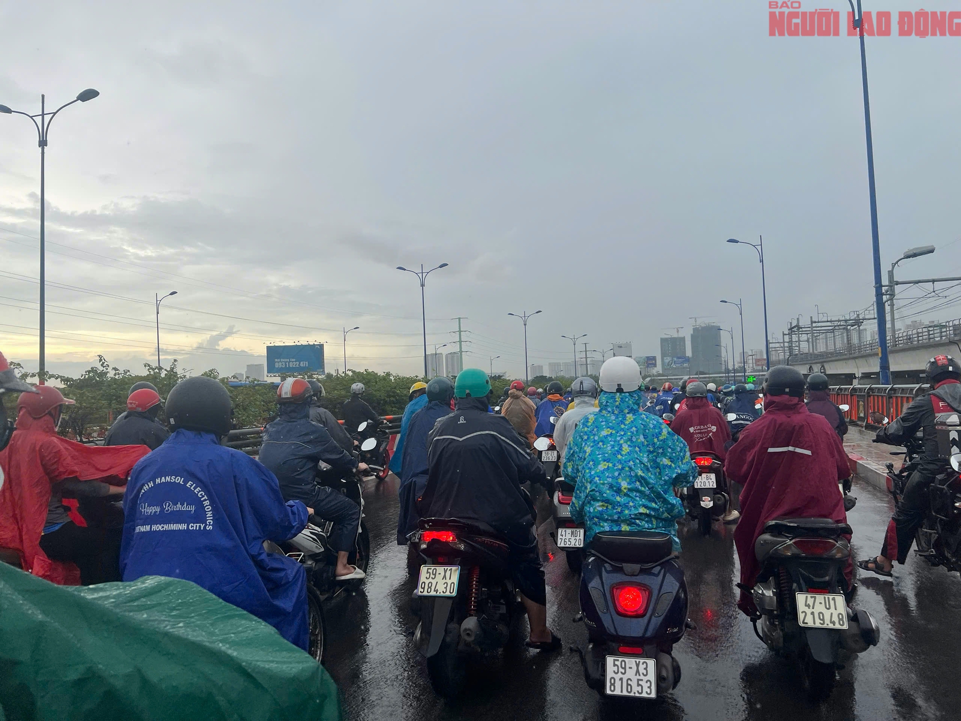  - Ảnh 8.