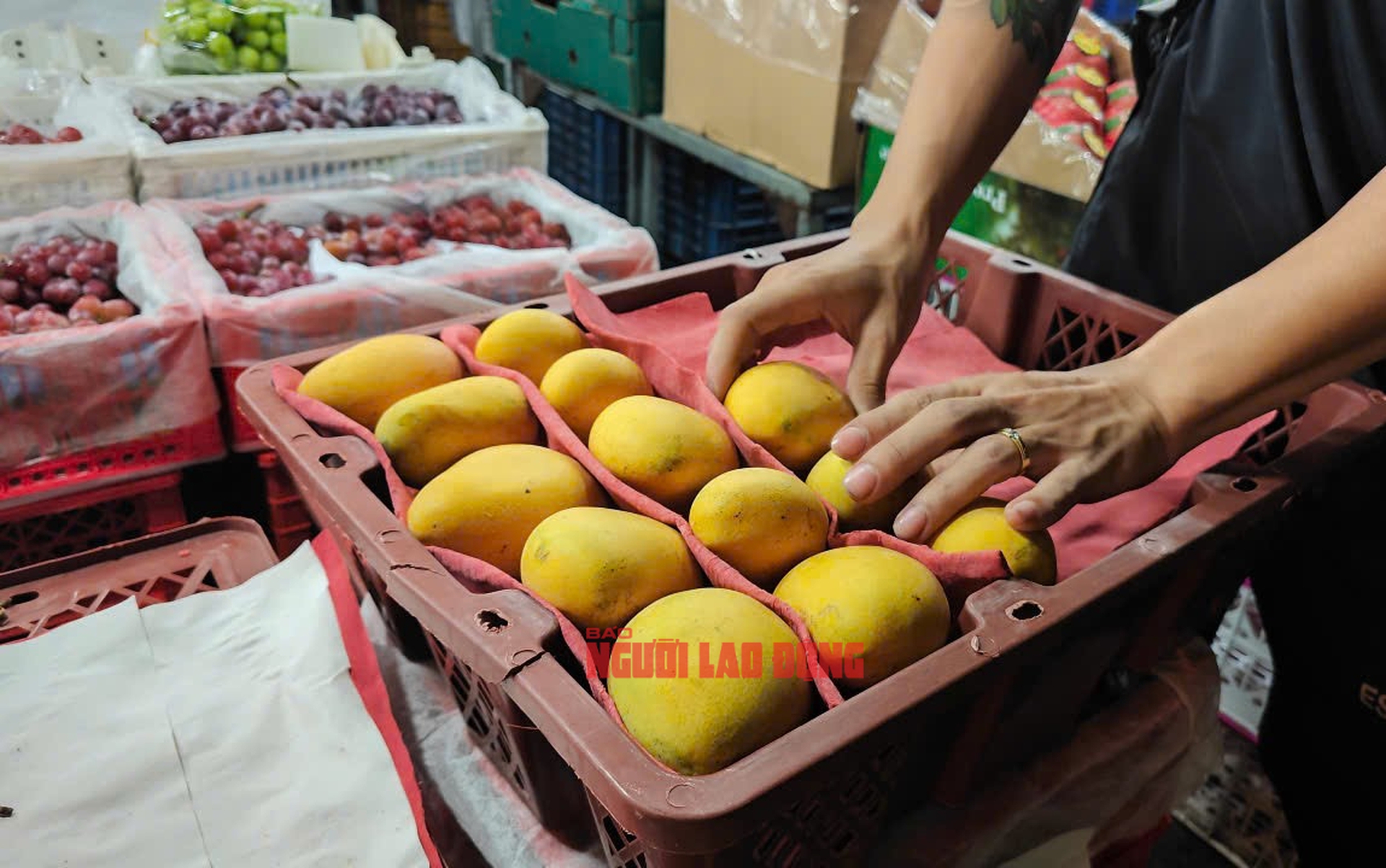 Mới đầu m&ugrave;a, h&agrave;ng trăm tấn xo&agrave;i Trung Quốc đổ bộ TP HCM - Ảnh 1.