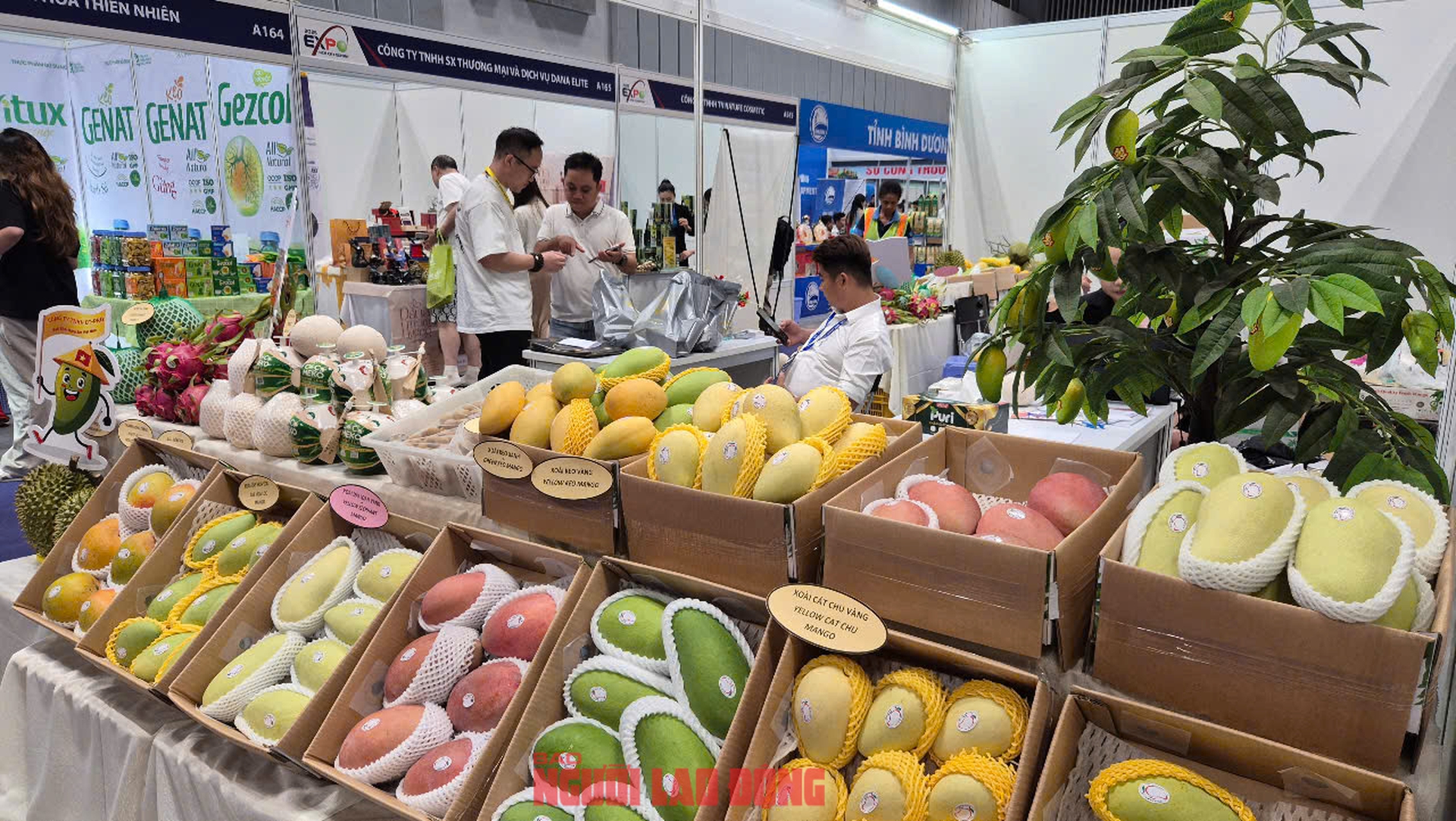 Mới đầu m&ugrave;a, h&agrave;ng trăm tấn xo&agrave;i Trung Quốc đổ bộ TP HCM - Ảnh 2.