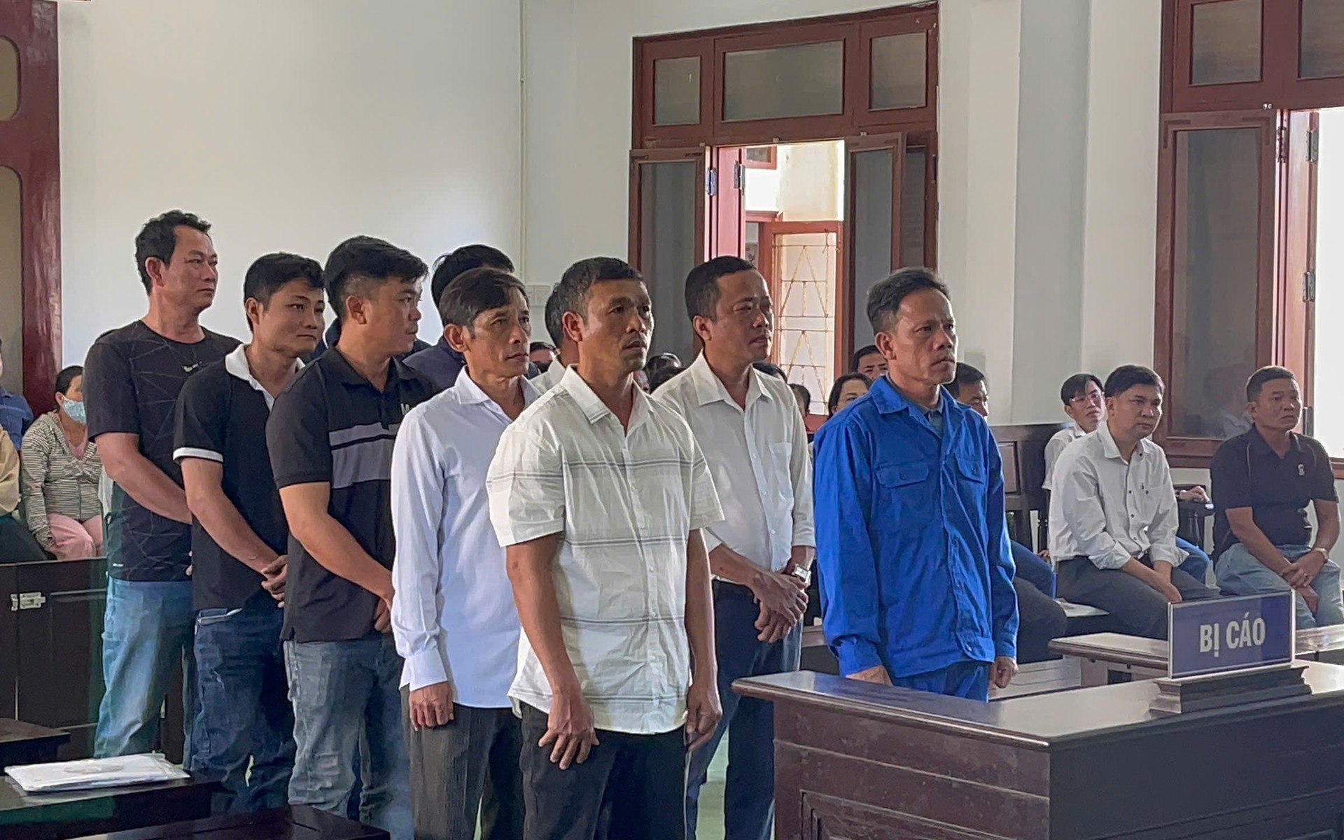 Nghi ph&aacute; rừng ở Ia P&uacute;ch, Gia Lai y&ecirc;u cầu kiểm tra khẩn - Ảnh 2.