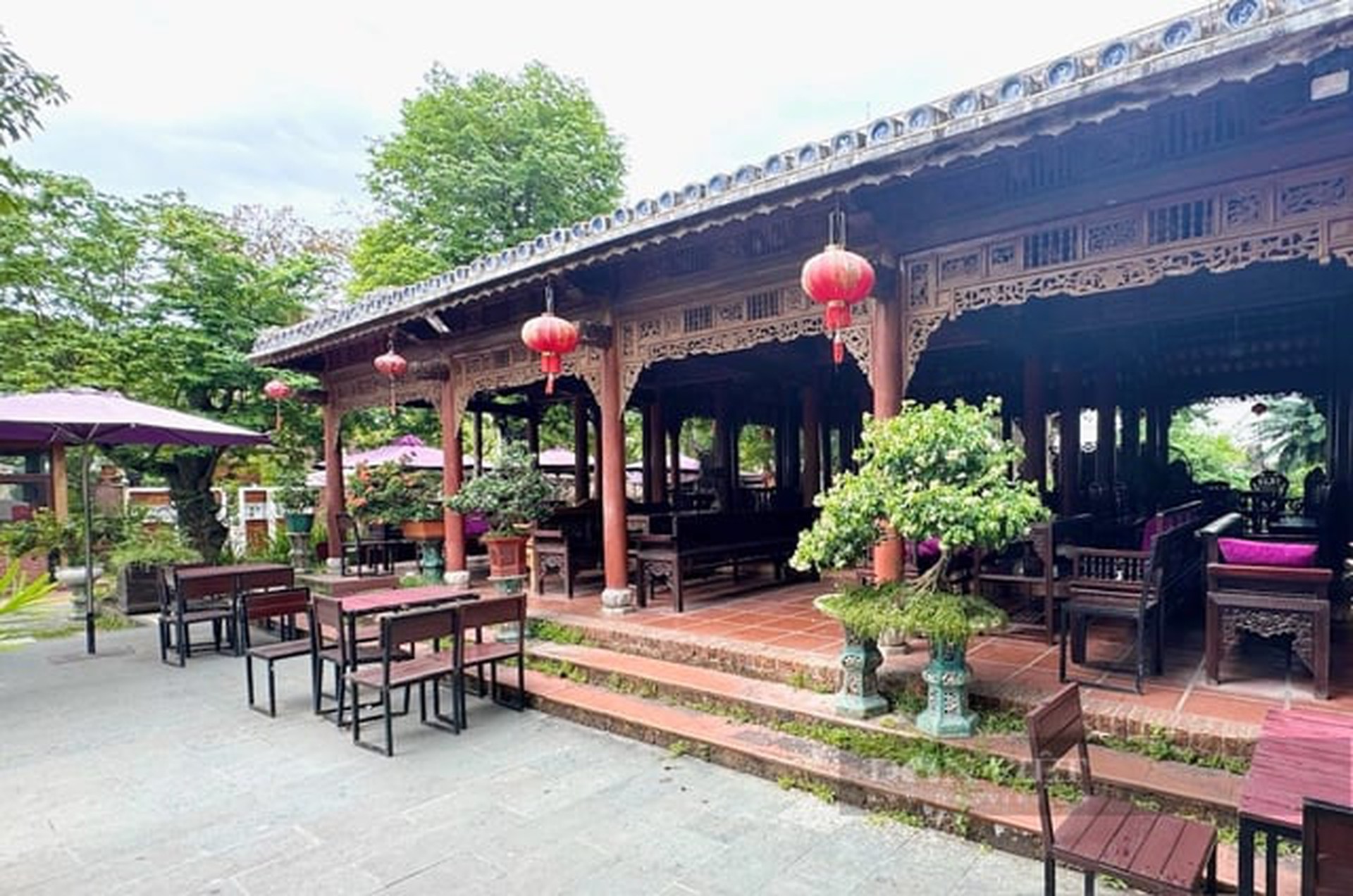 Kiến nghị xử l&yacute; h&agrave;nh ch&iacute;nh vụ &aacute;n t&aacute;ch thửa "r&uacute;ng động" ở Quảng Ng&atilde;i- Ảnh 2.