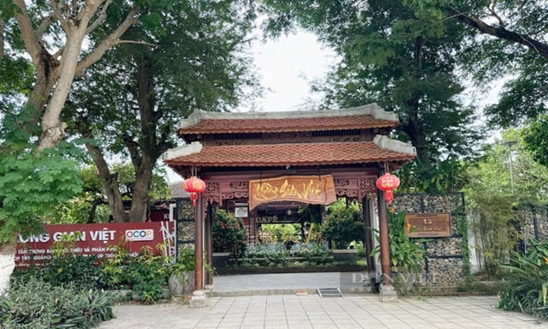 Kiến nghị xử l&yacute; h&agrave;nh ch&iacute;nh vụ &aacute;n t&aacute;ch thửa "r&uacute;ng động" ở Quảng Ng&atilde;i- Ảnh 1.