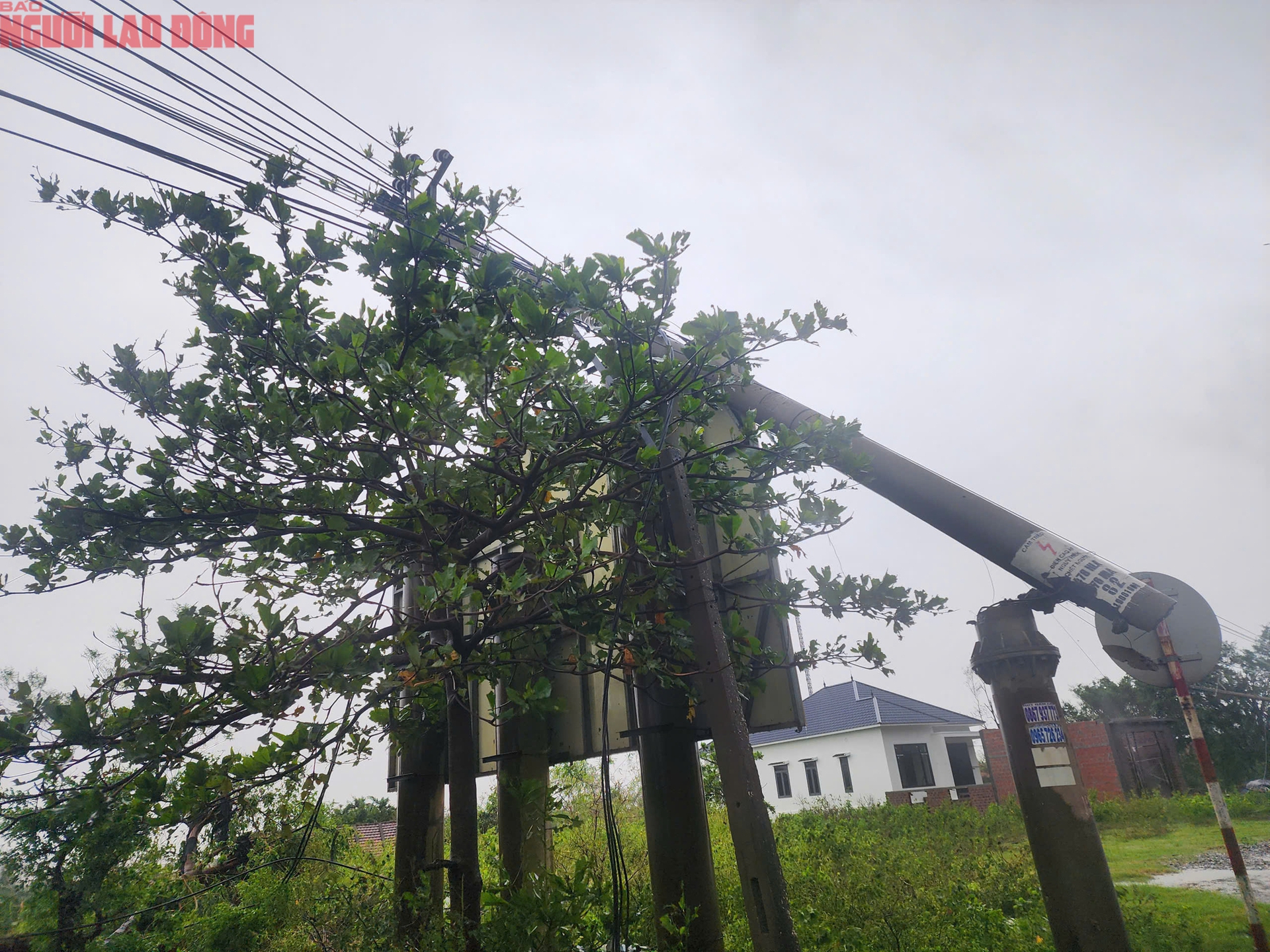 Quảng Trị sau b&atilde;o số 10: Thiệt hại nặng nề tại x&atilde; Ph&uacute; Trạch sau cơn b&atilde;o - Ảnh 2.