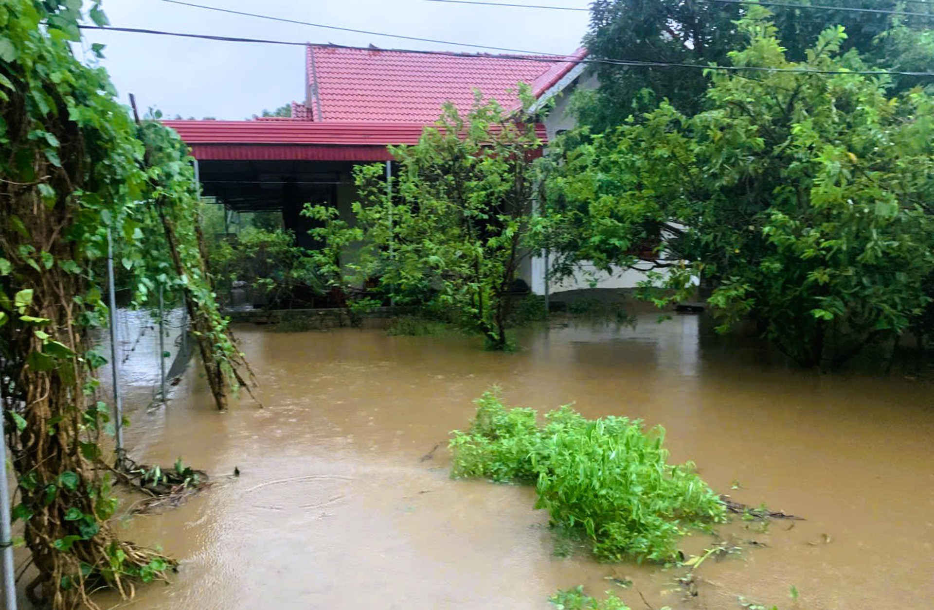 Nh&agrave; sập, nhiều nơi ch&igrave;m trong "biển" nước khi b&atilde;o số 10 Bualoi đổ bộ- Ảnh 9.