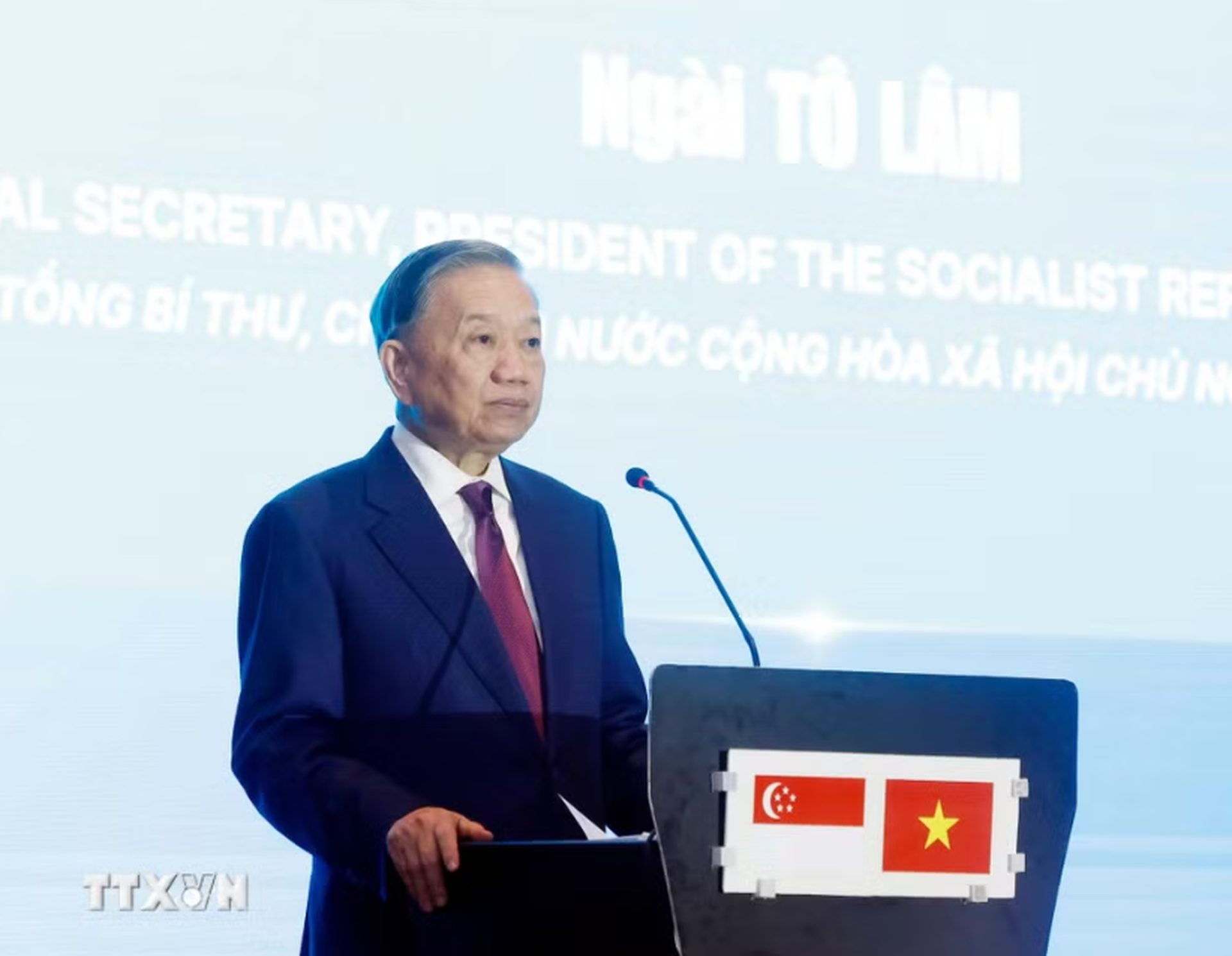 Tổng B&iacute; thư, Chủ tịch nước T&ocirc; L&acirc;m: Hợp t&aacute;c c&ocirc;ng nghệ sẽ l&agrave; trụ cột quan trọng Việt Nam-Singapore - Ảnh 1.