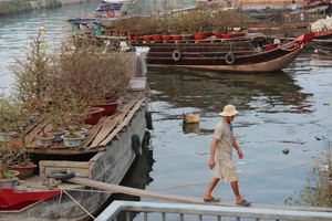 Những ng&agrave;y kh&ocirc;ng dễ sống - Ảnh 4.