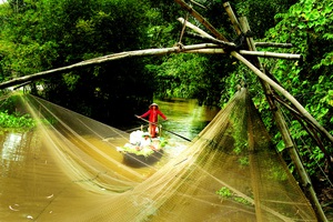Ch&aacute;i nh&agrave; - Ảnh 2.