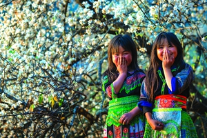 ĐẤT Đ&Atilde; ẤM L&Ecirc;N - Ảnh 2.