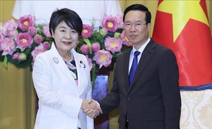Chủ tịch nước đề nghị Nhật Bản tạo điều kiện thuận lợi cho cộng đồng người Việt