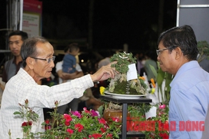 Đồng Tháp tưng bừng ngày hội 