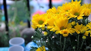 ĐẤT ĐÃ ẤM LÊN - Ảnh 3.