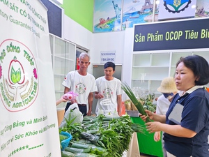 Nông dân chở rau hữu cơ từ Đồng Tháp lên TP HCM bán chỉ 5.000 đồng/bó