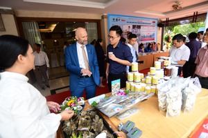Phát triển chuỗi liên kết, nâng tầm thủy sản Việt Nam
