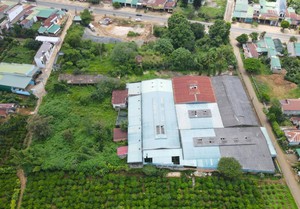 Lâm Đồng: Chưa thể thu hồi đất dự án của Công ty Trung Nguyên