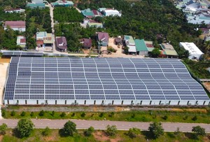 Lâm Đồng: Chỉ xem xét dự án điện mặt trời Tam Bố rộng 60 ha sau năm 2030