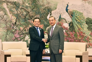Phó Thủ tướng Trần Lưu Quang hội kiến Ngoại trưởng Vương Nghị