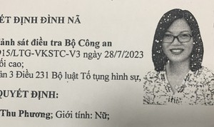 Bộ Công an: Nguyên thư ký tài chính Công ty AIC về nước đầu thú