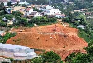 Lâm Đồng yêu cầu làm rõ việc đề xuất điều chỉnh tiến độ dự án Thung lũng hoa Đà Lạt