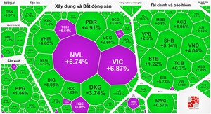 Cổ phiếu bất động sản tăng giá dữ dội sau hội nghị với Chính phủ