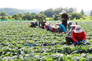 Hàn Quốc thu hút lao động nước ngoài- Ảnh 1.