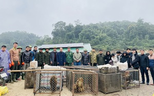 Vườn quốc gia Vũ Quang tái thả 30 cá thể động vật hoang dã về môi trường tự nhiên