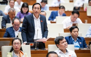 Phải xử lý mạnh hơn nữa với những người trúng đấu giá đất rồi bỏ cọc  - Ảnh 1.