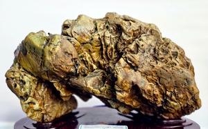 Mời nhiều "&ocirc;ng lớn" thế giới đến với cao nguy&ecirc;n Di Linh - Ảnh 2.