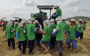 Gạo Lộc Trời bổ nhiệm t&acirc;n Tổng gi&aacute;m đốc Trần Kh&aacute;nh Dư năm 2026 - Ảnh 1.