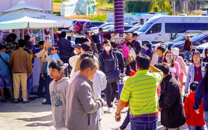Đà Lạt đón gần 240.000 lượt khách dịp Tết Nguyên đán