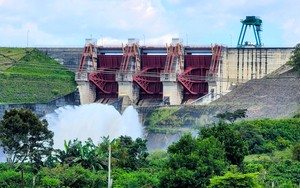 Doanh nghiệp muốn làm 2 thủy điện gần 900 tỉ đồng ở Lâm Đồng