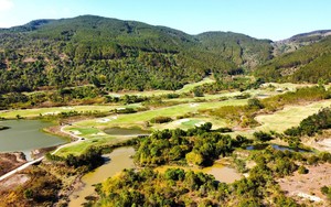 Lâm Đồng xử lý trách nhiệm vụ mất 37,5 ha rừng tại sân golf