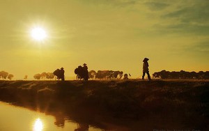 Những ng&agrave;y kh&ocirc;ng dễ sống - Ảnh 3.