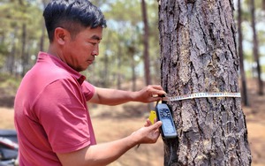 Ông Nguyễn Thái Học: Không chấp nhận việc giấu giếm khuyết điểm trong bảo vệ rừng