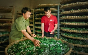 Agribank -Từ dòng tín dụng chủ lực đến chiến lược “Phụng sự từ trái tim” (Kỳ 1) - Ảnh 5.