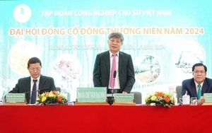 Tập đoàn Công nghiệp cao su Việt Nam lãi lớn