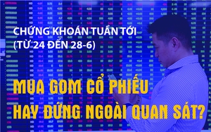 Infographic: Chứng khoán tuần tới (từ 24 đến 28-6) - Mua gom cổ phiếu hay quan sát?