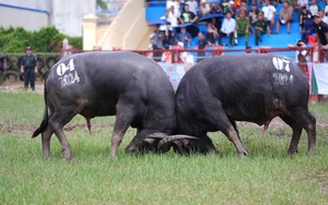 Cần phải đúng lúc, hợp hoàn cảnh- Ảnh 2.